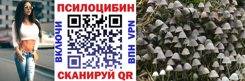 Псилоцибиновые грибы GOLDEN TEACHER где купить наркоту Кремёнки